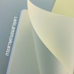 30.4 Young Artist [A5]-09