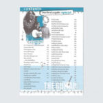 The Guitar Acoustic Special (2)